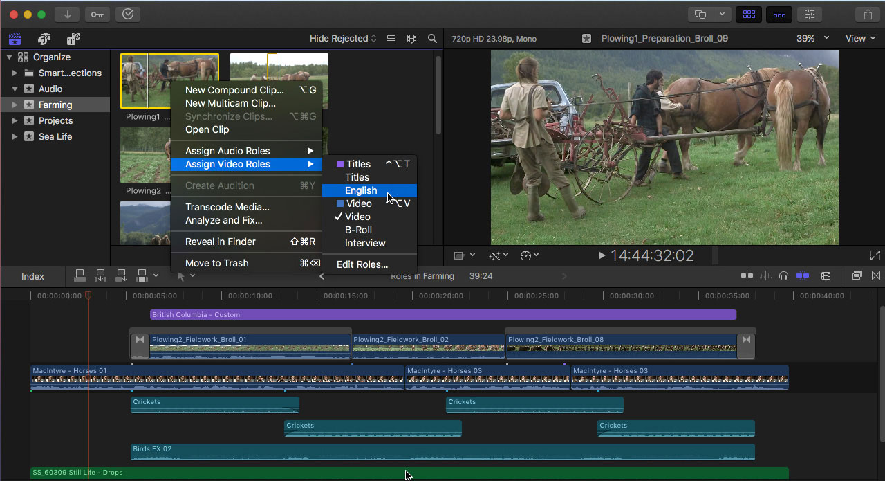 Final cut pro