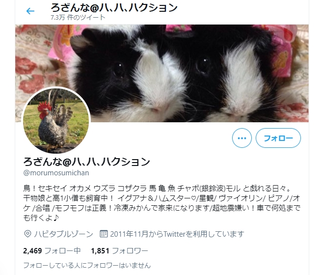 Twitter動画ランキングご紹介