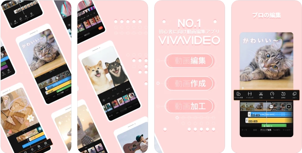 VivaVideo