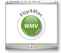 Flip4Macコンポーネント wmv再生