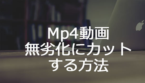 Mp4動画を無劣化に分割する方法