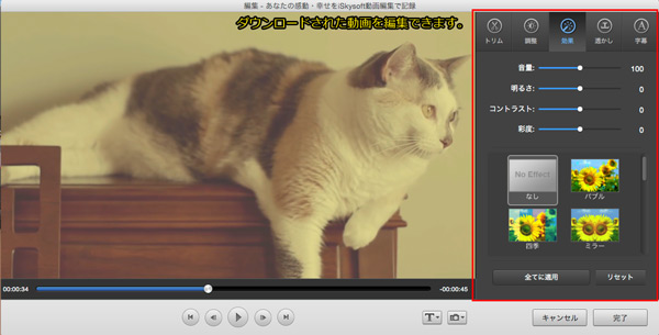 YouTubeから保存した動画をDVDに焼く前に編集する